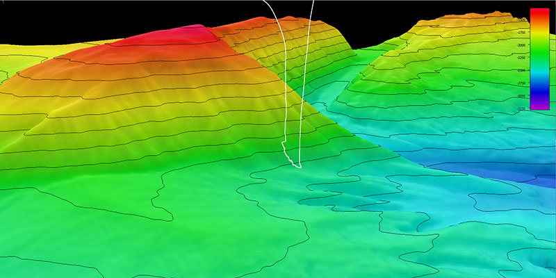 Bathymetric map of a submarine canyon overlain with a remotely operated vehicle dive track.