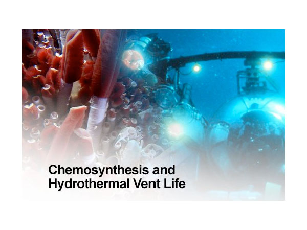 Chemosynthesis