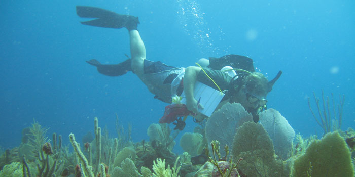 Dr. Peter Etnoyer - Marine Ecologist