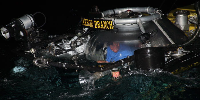 Dr.  Reed shares his experience searching for medicines from the deep sea, exploring the Gulf of Mexico.