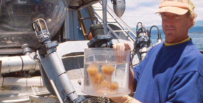 Dr. Reed offers words of wisdom to up and coming marine biologists.