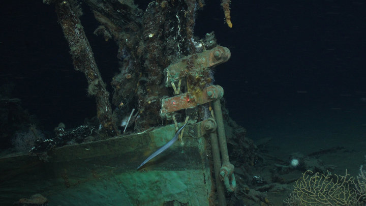 Lophelia II 2009 - Deepwater Coral Expedition: Reefs, Rigs, and Wrecks