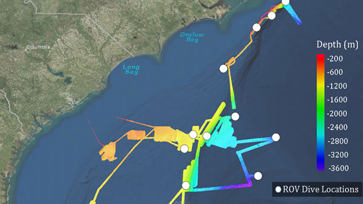 Windows to the Deep 2018: Exploration of the Southeast U.S. Continental Margin