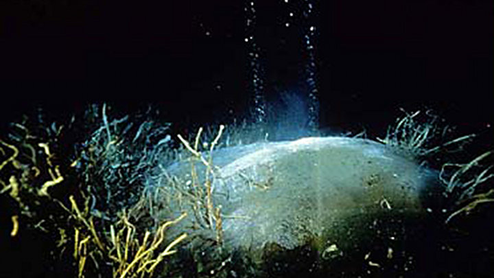 Methane in the Ocean