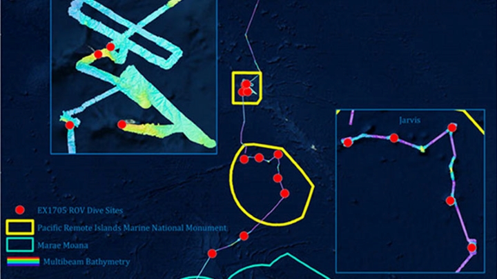 Mountains in the Deep: Exploring the Central Pacific Basin