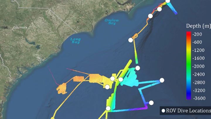 Windows to the Deep 2018: Exploration of the Southeast U.S. Continental Margin