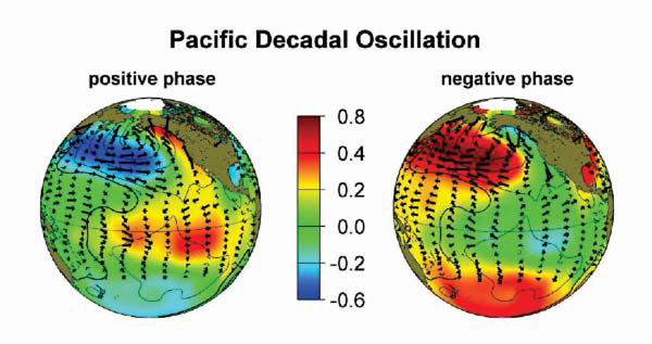 Pacific Decadal Oscillation parameters