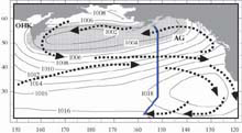 Schematic of surface circulation