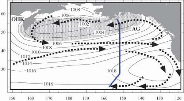 Schematic of surface circulation