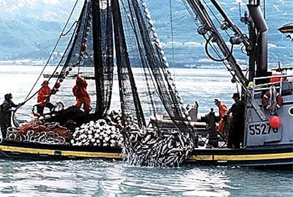 Fishing Boat near Valdez, Alaska