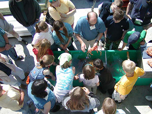 Kodiak children inspect a tanner crab