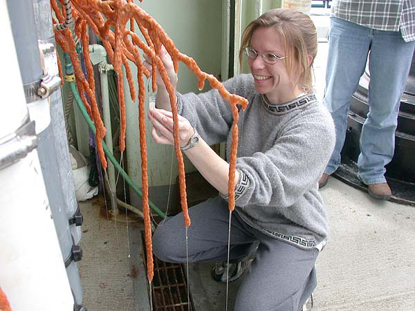 Collecting mucus from deep-sea coral