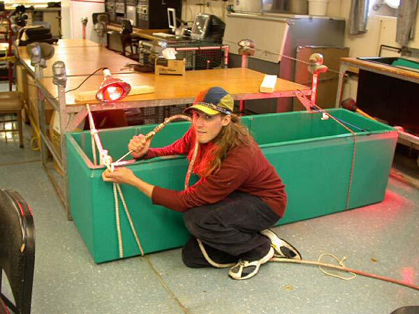 Fixing cracks in the crab tank