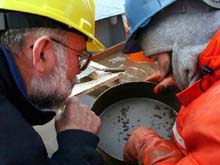 Terry Whitledge and Bodil Bluhm searching the box core sample