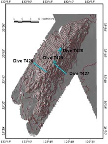 Bathymetric contour map of Davidson Seamount