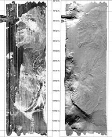 Heceta Bank Simrad EM 300 backscatter and topography