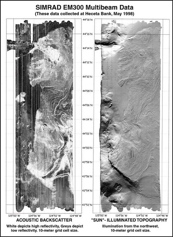 Heceta Bank Simrad EM 300 backscatter and topography