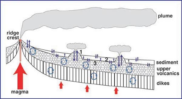 Schematic diagram illustrating hydrothermal circulation