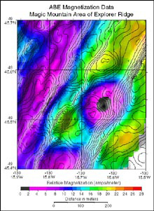 Magnetization data of ocean crust in the Magic Mountain area