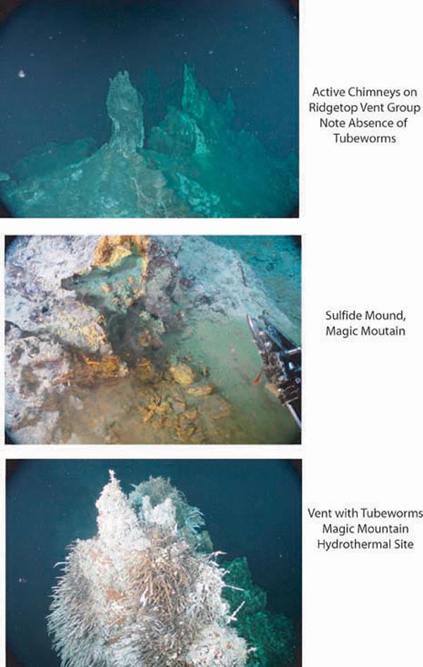 Hydrothermal chimneys and mounds in the Magic Mountain area