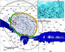 Correlating with a photograph of a rich coral bed