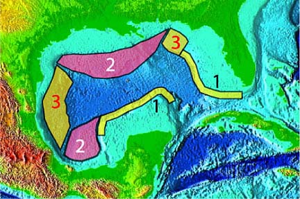 slopes of the gulf of mexico