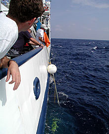 crew members recover an acoustic mooring buoy