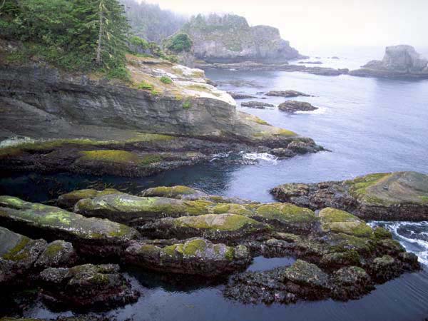 Cape Flattery