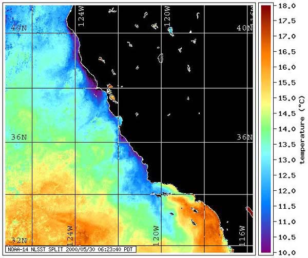 Upwelling Map 2