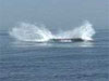  A humpback rolls on its side. 