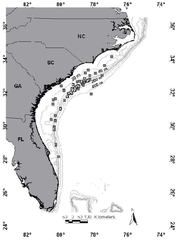 
Locations of capture of scamp during the spawning season