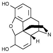 Morphine molecule