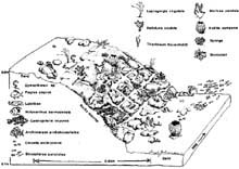 the shelf edge and upper slope reefs