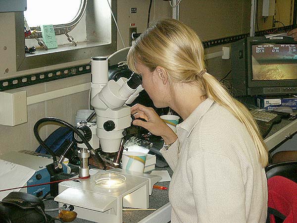 taxonomist at microscope