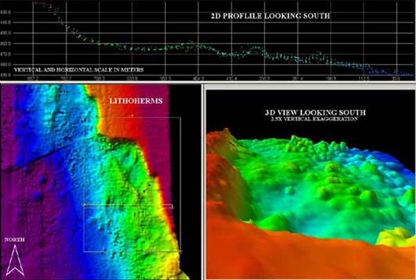 Multibeam image of Mullins Lithoherm.