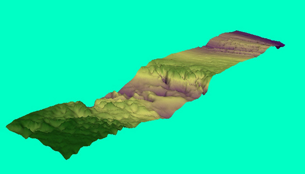 A topographic representation of the seafloor around the Charleston Bump.