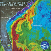 Sea surface temperature readings