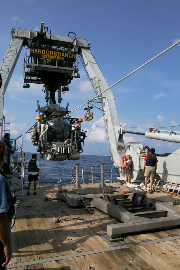 Johnson-Sea-Link manned submersible