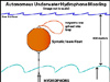 Autonomous Underwater Hydrophone (AUH) mooring