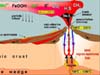 Venting system on a submarine arc volcano