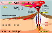 Schematic cartoon of a venting system on a submarine arc volcano