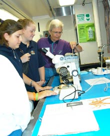 Students view live squat lobsters collected during the cruise