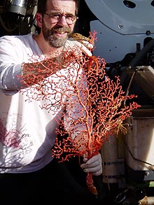 Scott France holds up a deep sea coral