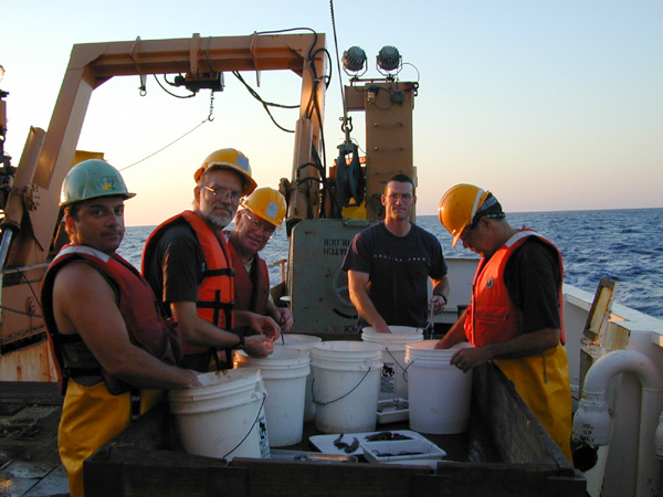 Sorting animals from the trawl catch