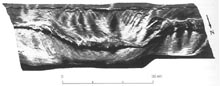 3-D view of scarp looking south toward Puerto Rico