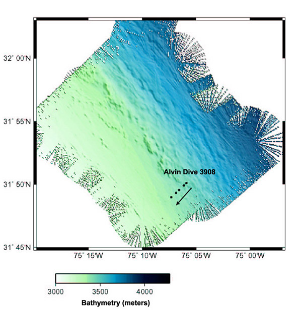 Seabeam survey of the northeastern flank (side) of the Blake Ridge