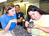 Examining a rock collected from approximately 3400 m water depth