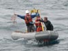 A fragile live specimen retrieved from the Alvin right after it surfaced.