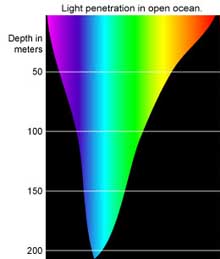 Light penetration in ocean waters