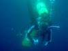 Blue water divers use glass jars to capture gelatinous specimens for further study in the ship’s laboratory.